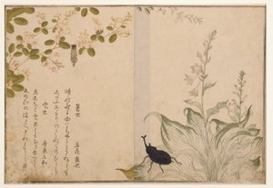 Mandworm en helmkever door Kitagawa Utamaro